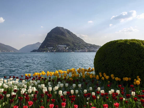 Lugano Schweiz Blomstrande Ciani Park Och Utsikt Över Viken Lugano — Stockfoto
