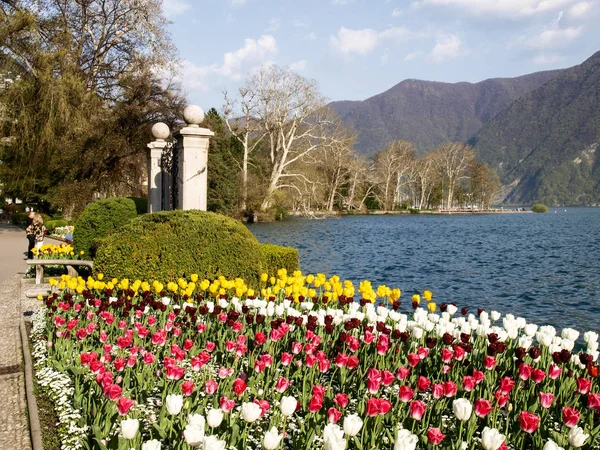 Lugano Švýcarsko Dubna 2018 Květovaný Parku Ciani Výhledem Záliv Lugano — Stock fotografie