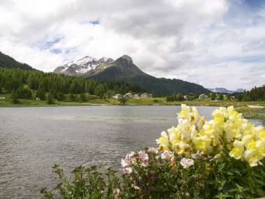 Sils Gölü ve Corvatsch Grubu manzarası.