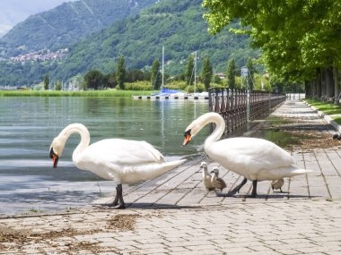 Como Gölü 'nün taşması