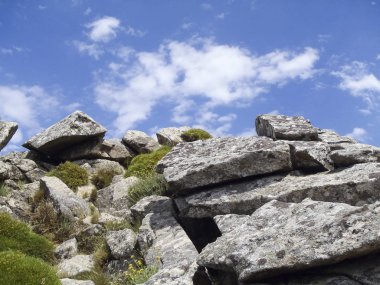 Elba, İtalya: Monte Capanne. Adanın en yüksek zirvesi. Deniz manzarası ve çevresindeki doğa..
