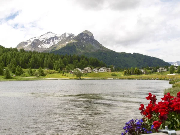 Sils lake and views of the Corvatsch group. — Stock Photo, Image