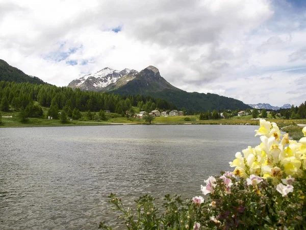 Lago Sils y vistas del grupo Corvatsch . —  Fotos de Stock