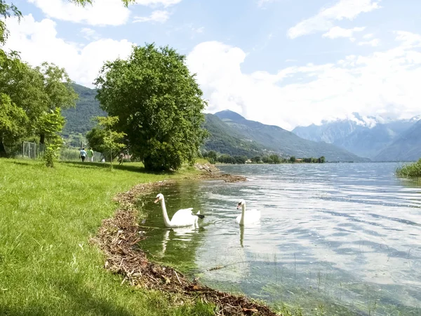 Inondation du lac de Côme — Photo