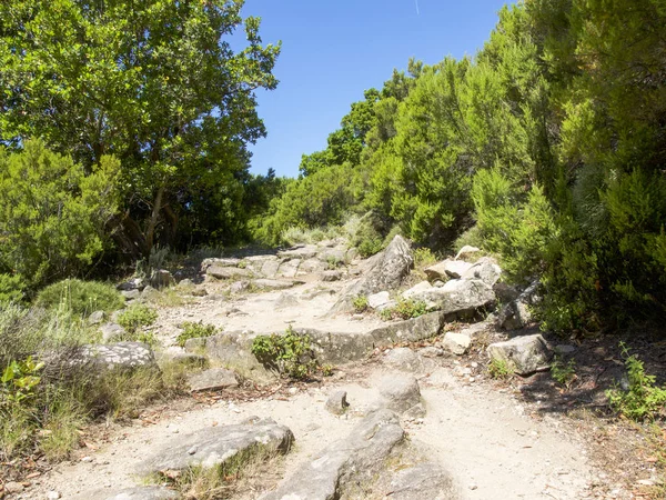 Inlandsområden med Medelhavsvegetation — Stockfoto