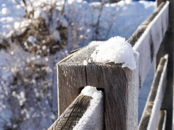 Savognina, Neve e geada com agulhas devido ao frio intenso — Fotografia de Stock