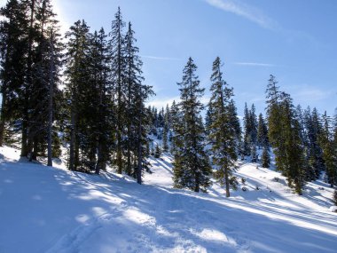 Zoeblen, Avusturya: Kayak merkezinin kış manzarası.