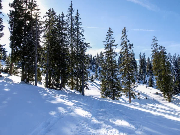 Zoeblen Rakousko Zimní Krajina Lyžařského Střediska — Stock fotografie