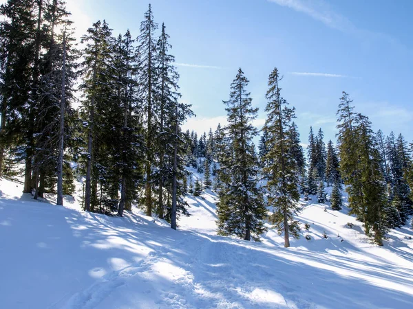 Zoeblen Rakousko Zimní Krajina Lyžařského Střediska — Stock fotografie