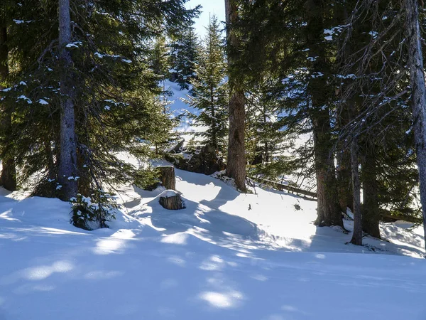 奥地利佐伯伦 滑雪胜地的冬季景观 — 图库照片