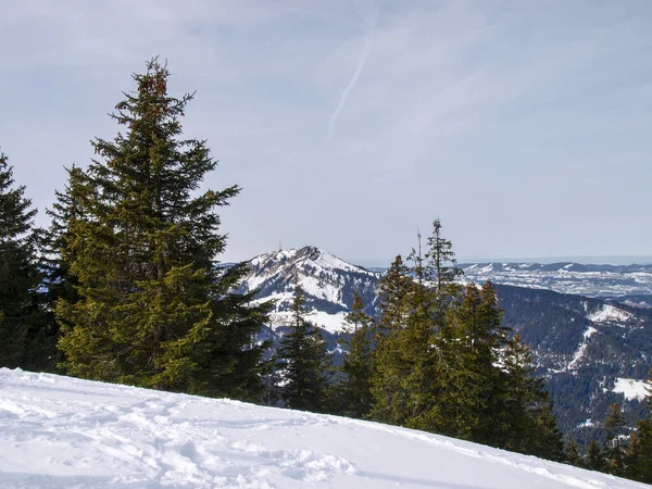 Obergschwend Wertacher Hoernle Tyskland Vinterleden Obergschwend Buchel Alpe 1246M Wertacher — Stockfoto