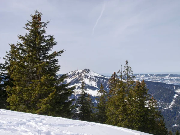 Obergschwend Wertacher Hoernle Niemcy Szlak Zimowy Obergschwend Buchel Alpe 1246M — Zdjęcie stockowe