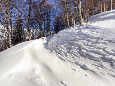 Valcolla, İsviçre: Luganese vadisinde orman ve dağ manzarası.