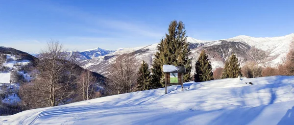 スイス バルコラ ルーガニア渓谷の森と山の風景 — ストック写真