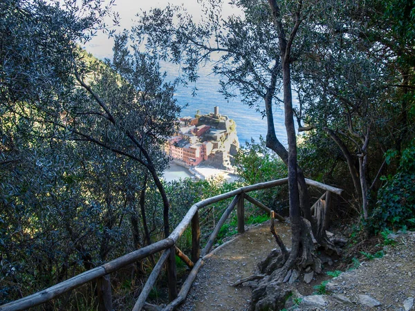 Vernazza Italien Forntida Vid Den Östra Liguriska Kusten Färgade Hus — Stockfoto