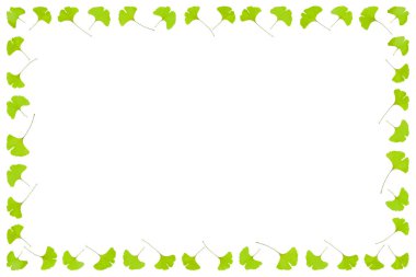 Gingko yaprak çerçevesi