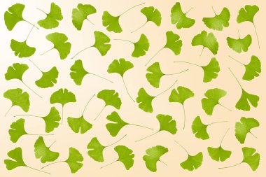 Gingko yapraklı halı.