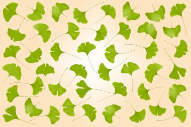 Gingko yapraklı halı.