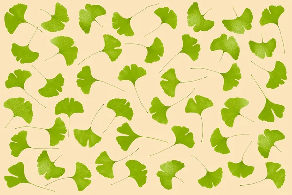 Tappeto di foglie di gingko — Foto Stock
