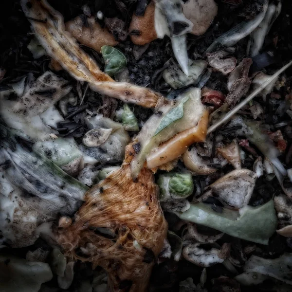 Vegetable Leftovers Compost Heap Artistically Alienated Create Grungy Somber Atmosphere — Stock Photo, Image