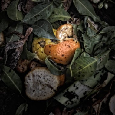 Gübre yığınında portakal tadını kapat. Bozulmanın güzelliğini göstermek için Wabi-Sabi hissiyle tatsız kasvetli bir atmosfer yaratmak için sanatsal olarak yabancılaştırılmış..