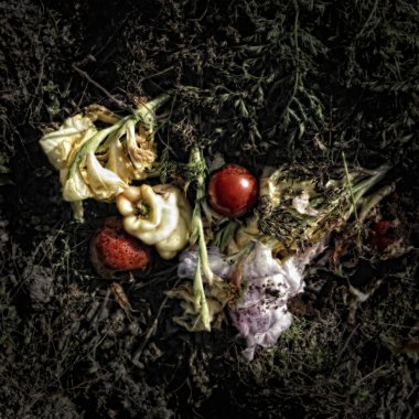 Gübre yığınında sebzeler ve çiçekler. Bozulmanın güzelliğini göstermek için Wabi-Sabi hissiyle tatsız kasvetli bir atmosfer yaratmak için sanatsal olarak yabancılaştırılmış..