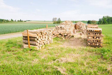 Kereste deposundaki kereste kütükleri