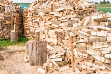 Kesme bloğu olan kütükler 