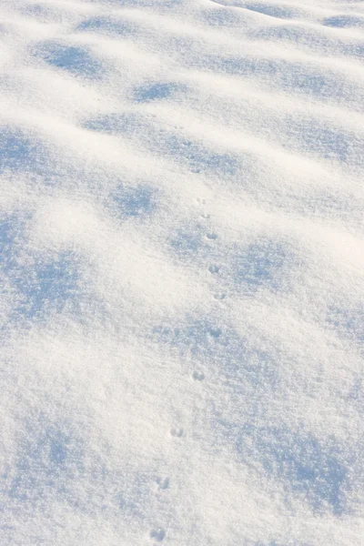 Besneeuwde veld — Stockfoto