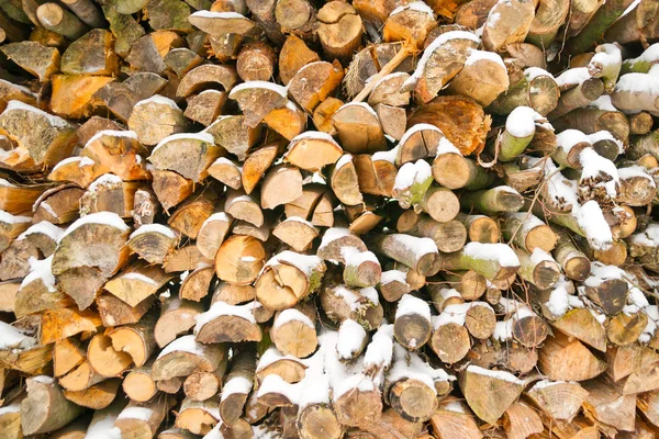 Snow-covered log pile