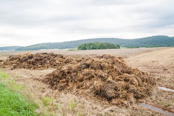 Big dunghill on a field — Stock Photo, Image