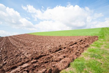 Kırmızı toprakla sürülmüş tarla