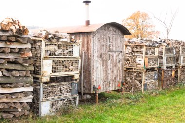 Ağaç kütükleri yığını