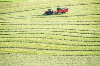 Haymaking