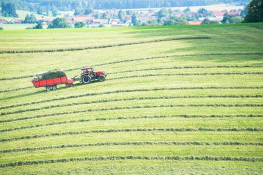 Haymaking