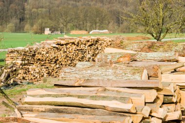 Kereste deposundaki kereste kütükleri