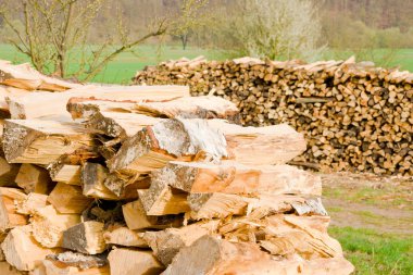 Kereste deposundaki kereste kütükleri