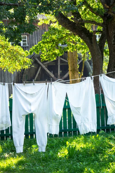 Culotte vintage séchant dans un jardin ensoleillé — Photo