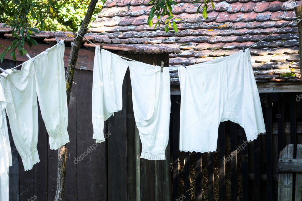 Vintage underpants drying in a sunny garden