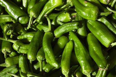 İspanya 'nın kuzeyinden Tipik Yeşil Biberlerin İlk Düzlüğü