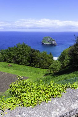 İspanya 'nın Bask bölgesindeki Çimen ve Kaya Tarlaları ile Sahil Manzarası