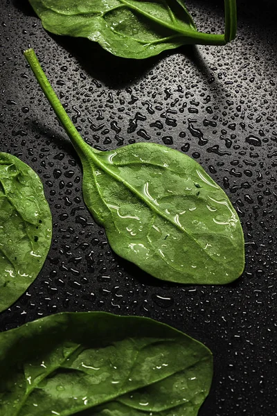 FRESH SPINACH SHEET ON METAL SURFACE WITH WATER DROPS. FRESH AND HEALTHY FOOD