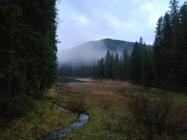 Karpaty Kraina Jezioro Synevyr Mgle — Zdjęcie stockowe