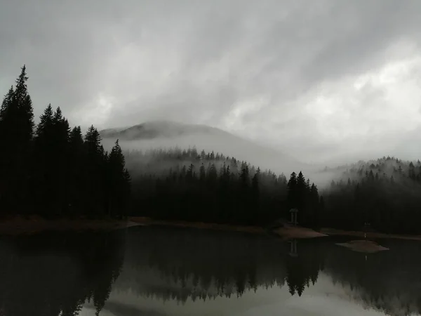 Die Karpaten Ukraine Das Ist Der Synevyr See Nebel — Stockfoto