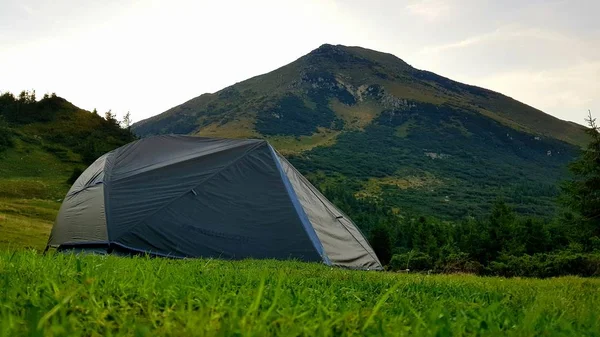 Палатка Среди Зеленого Луга — стоковое фото