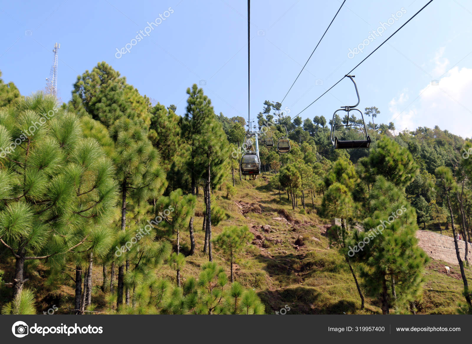 Lush Green Pine Trees Forest Landscape Patriata Chairlift New