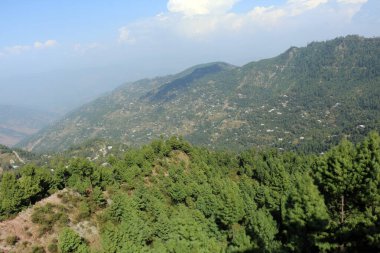 Bereketli Yeşil Çam Ağaçları Ormanı ve güzel Patriata manzarası, Yeni Murree, Punjab, Pakistan