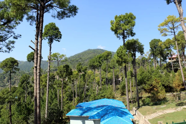巴基斯坦旁遮普邦新默里绿松林与美丽的爱国景观 — 图库照片
