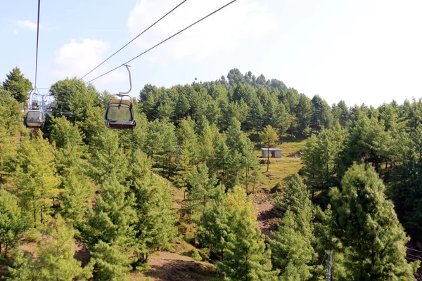 Paesaggio Lussureggiante Della Foresta Pini Verdi Seggiovia Patriata New Murree — Foto Stock