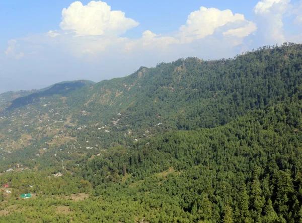 Пышные Зеленые Сосновые Леса Красивые Пейзажи Фазаты Нью Мурри Пенджаб — стоковое фото